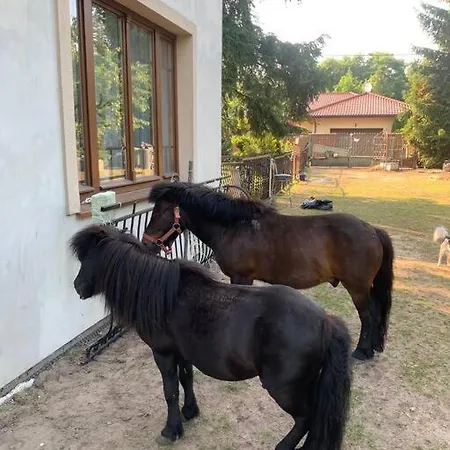 Apartament Z Natura W Piasecznie *